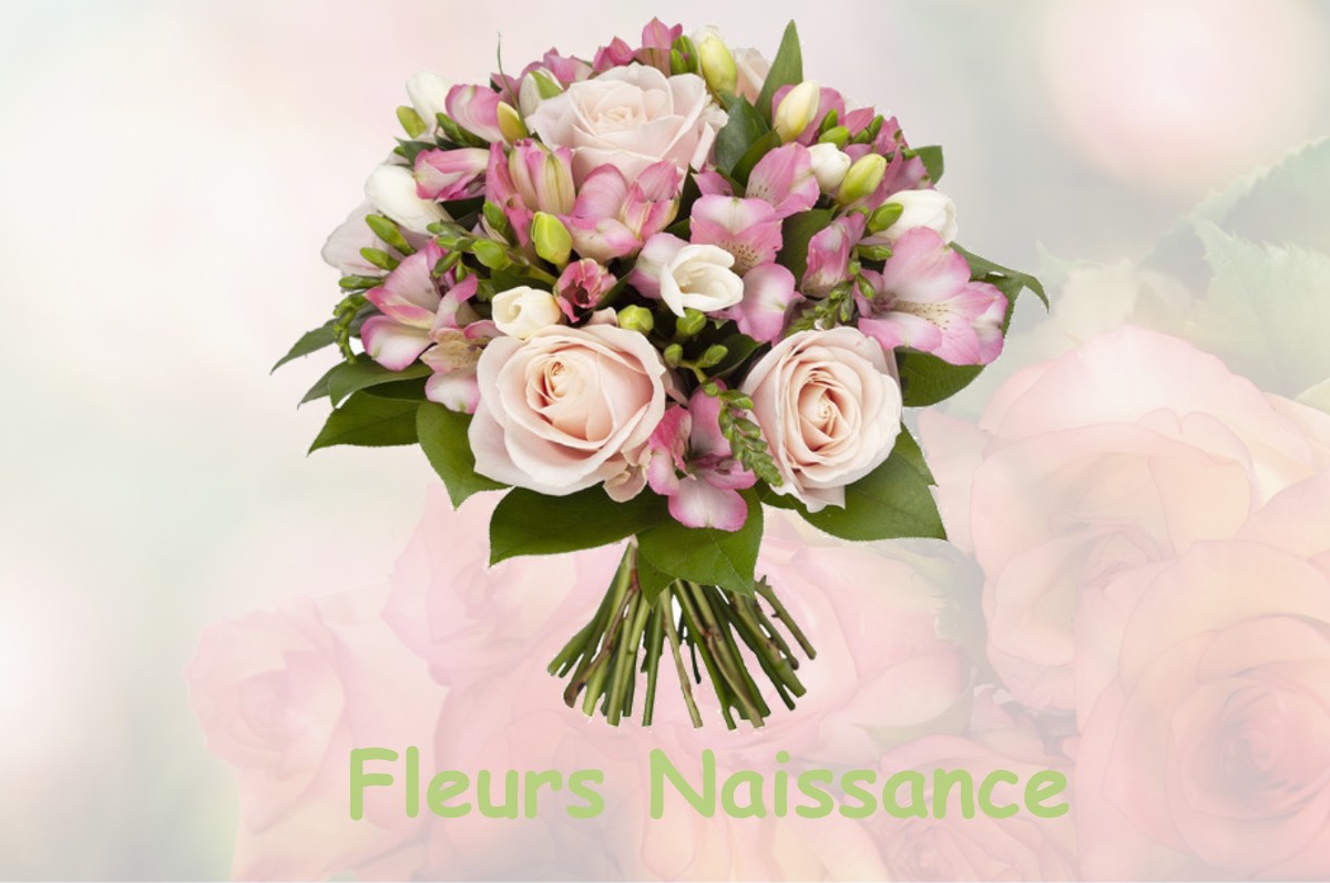 fleurs naissance CHALAINES