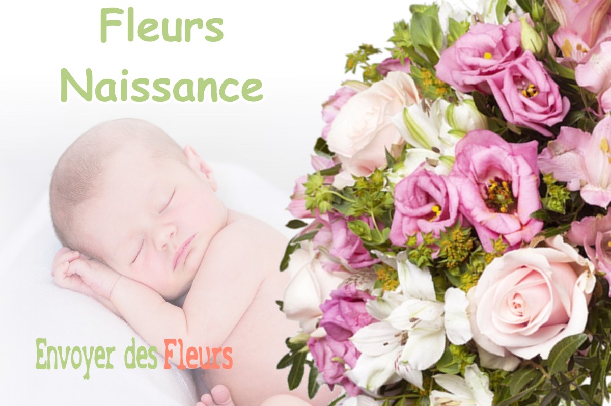 lIVRAISON FLEURS NAISSANCE à CHALAINES